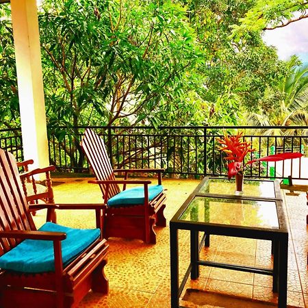 Rainforest Lodge, Deniyaya Singheraja Zewnętrze zdjęcie