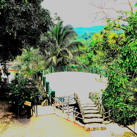 Rainforest Lodge, Deniyaya Singheraja Zewnętrze zdjęcie