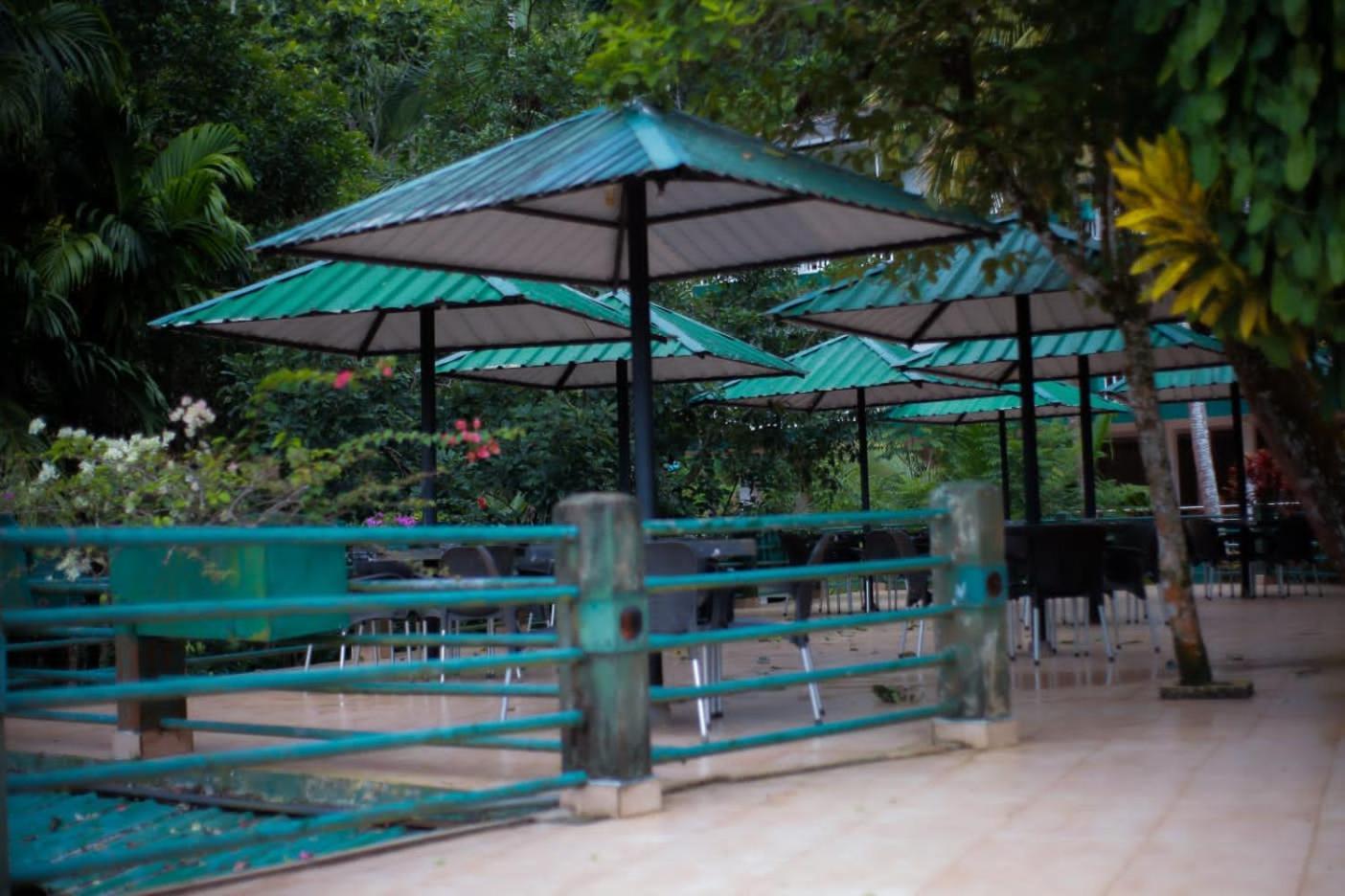 Rainforest Lodge, Deniyaya Singheraja Zewnętrze zdjęcie