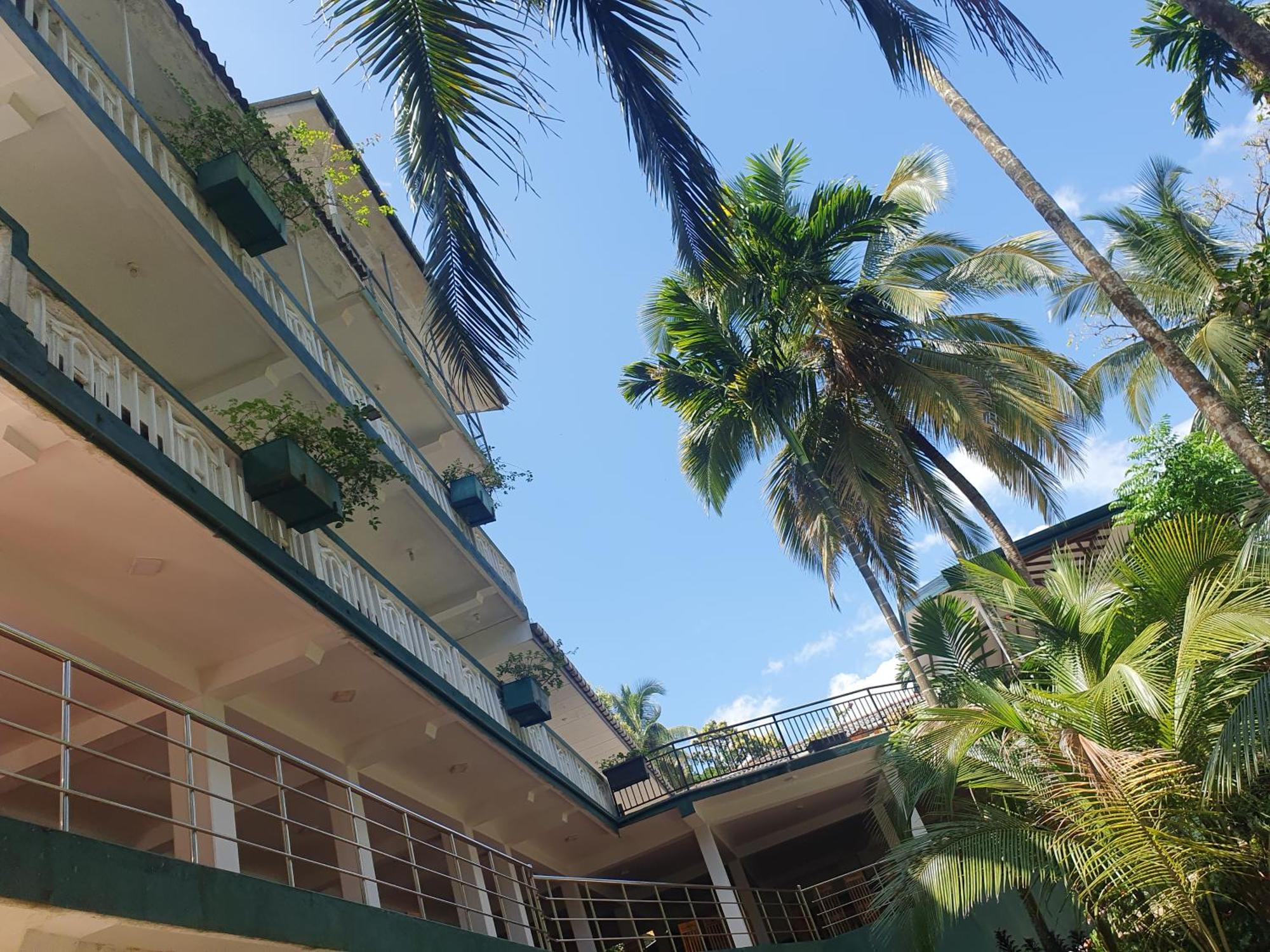 Rainforest Lodge, Deniyaya Singheraja Zewnętrze zdjęcie