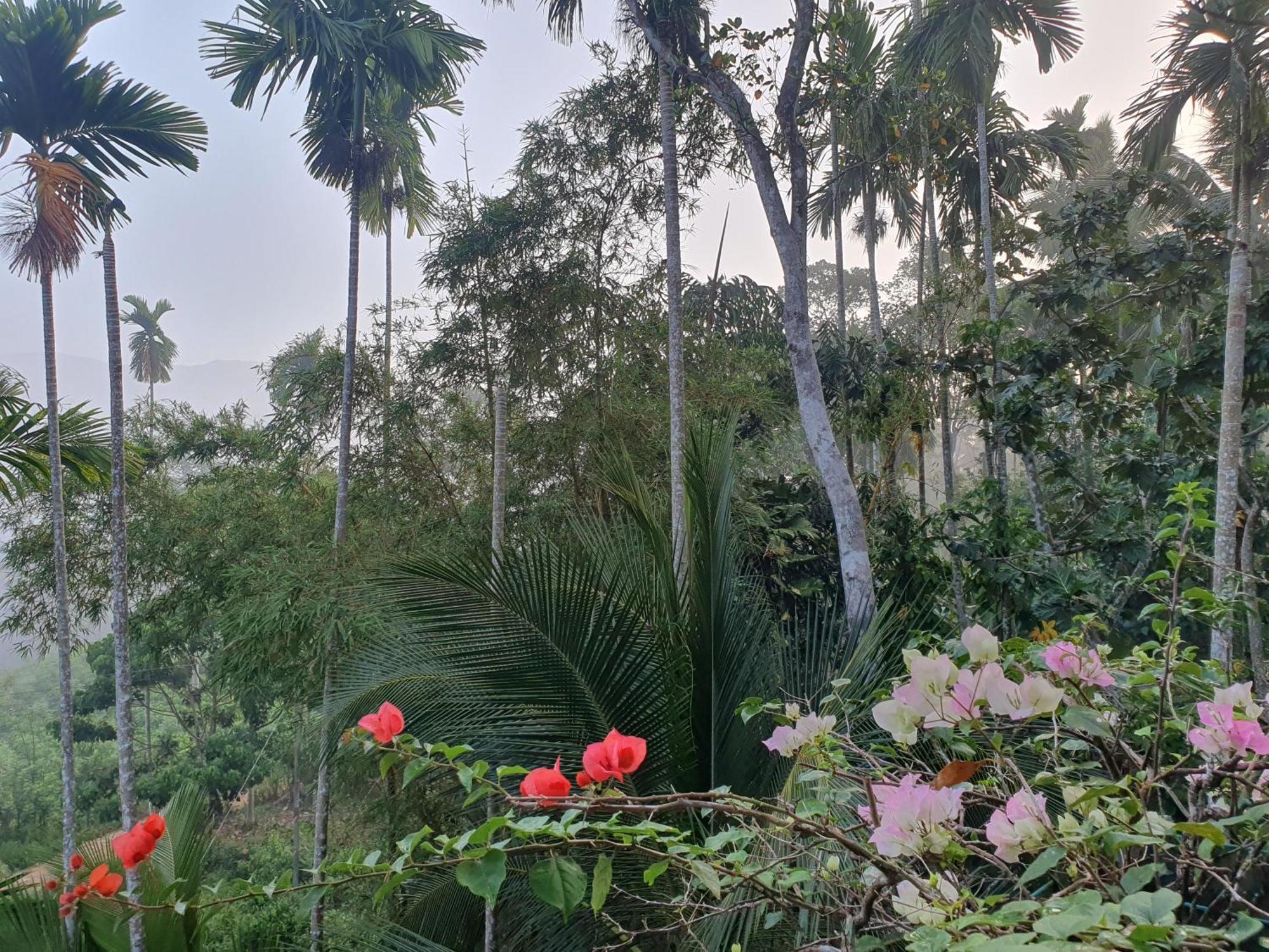 Rainforest Lodge, Deniyaya Singheraja Zewnętrze zdjęcie