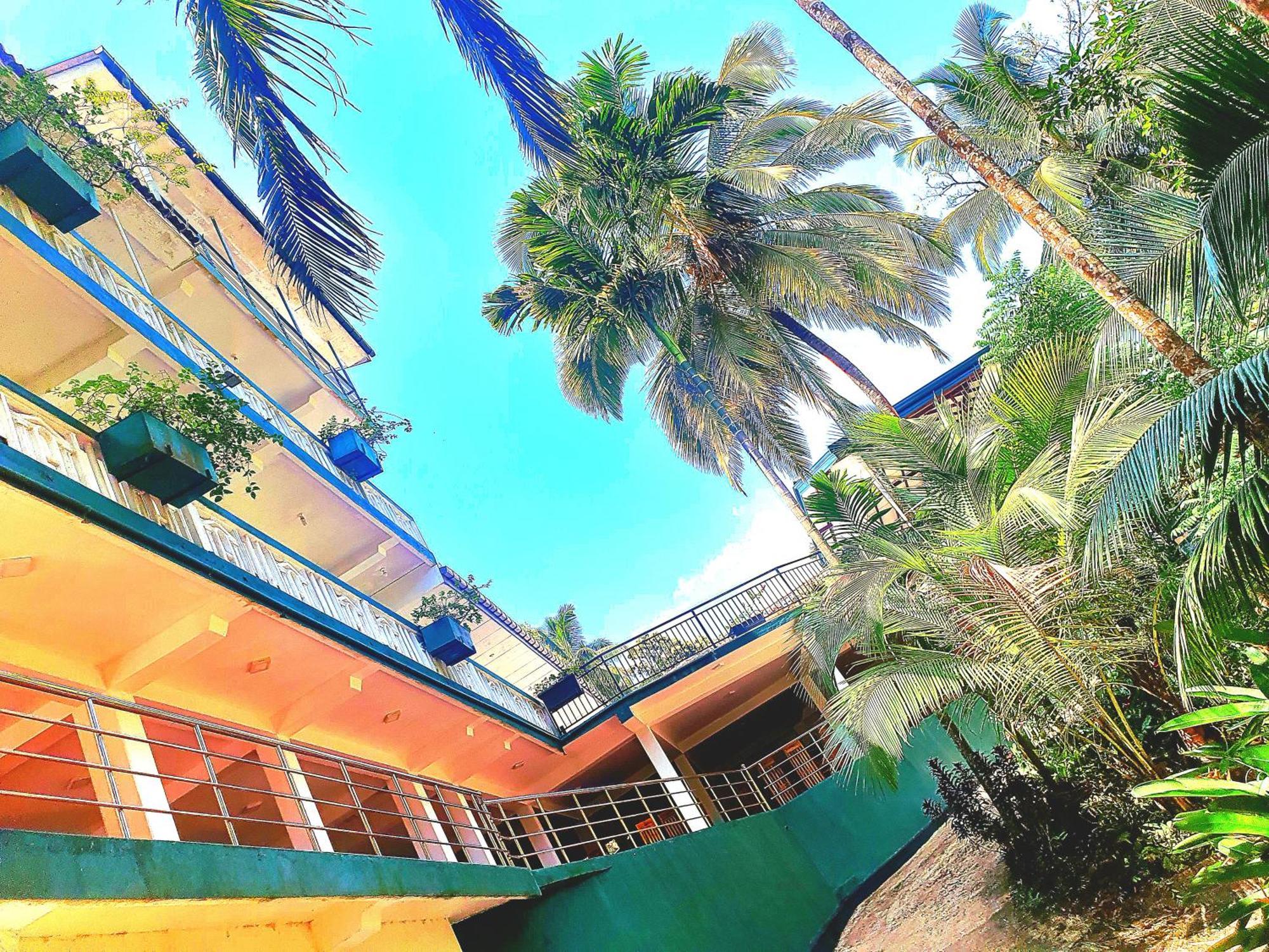 Rainforest Lodge, Deniyaya Singheraja Zewnętrze zdjęcie