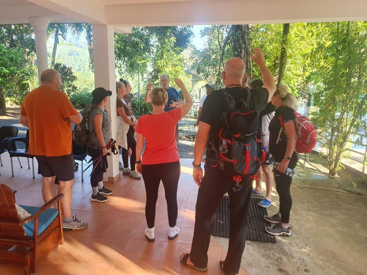 Rainforest Lodge, Deniyaya Singheraja Zewnętrze zdjęcie