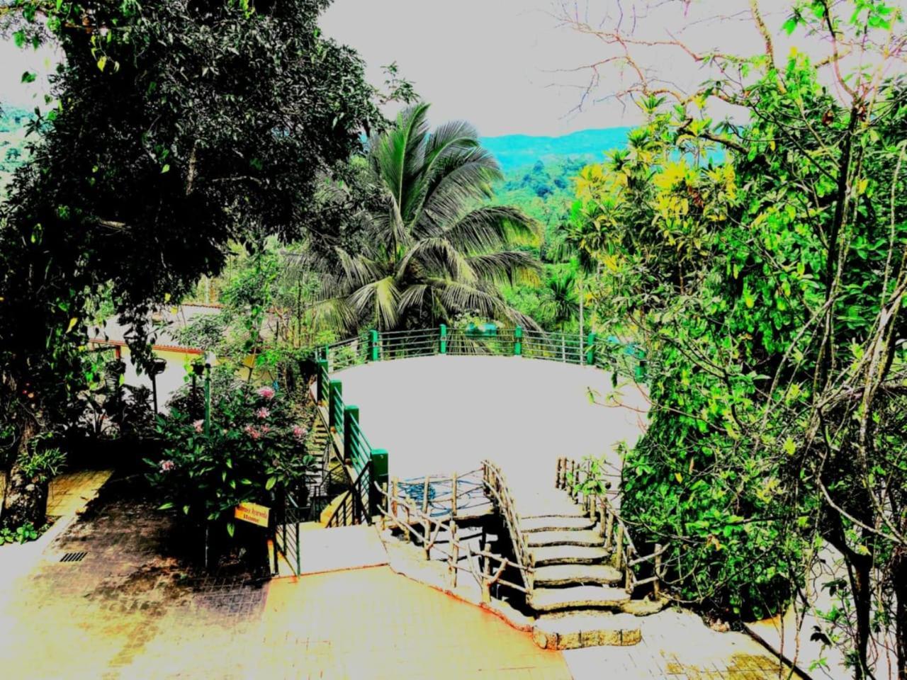 Rainforest Lodge, Deniyaya Singheraja Zewnętrze zdjęcie