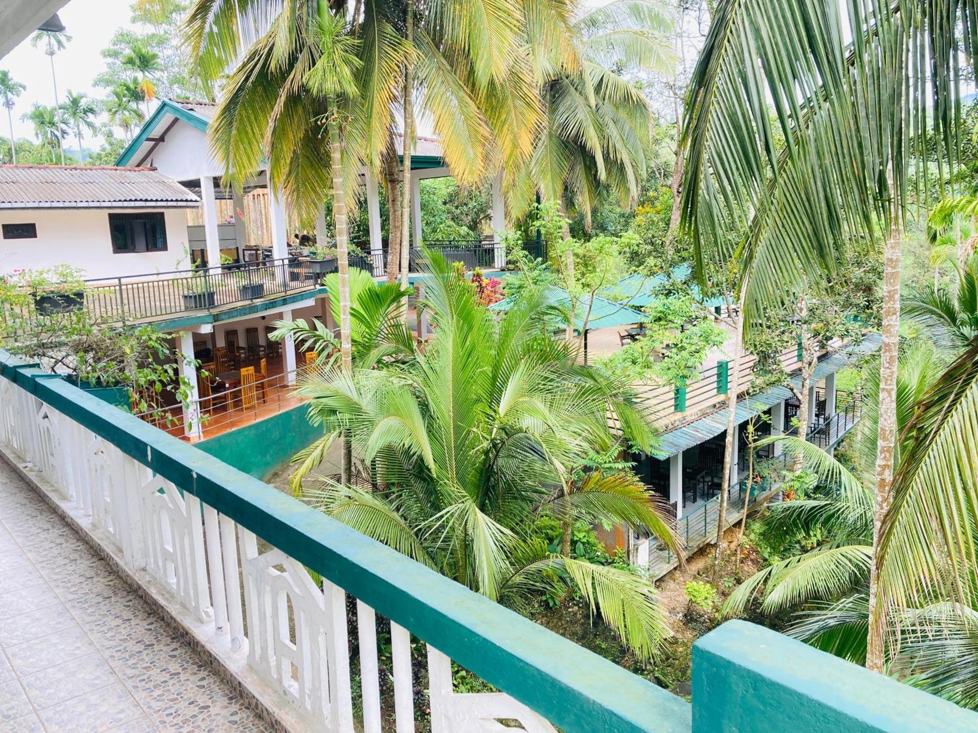 Rainforest Lodge, Deniyaya Singheraja Zewnętrze zdjęcie