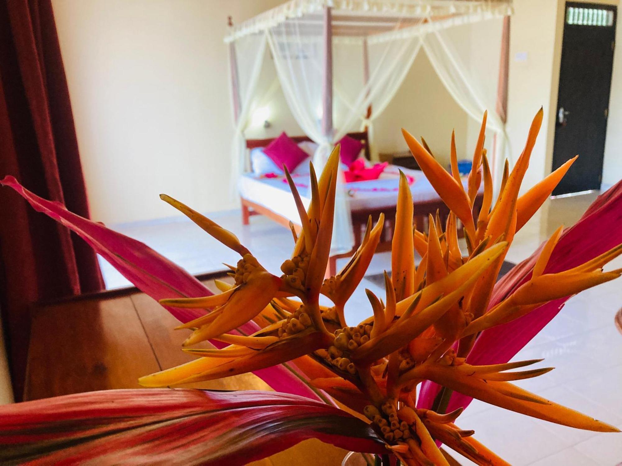 Rainforest Lodge, Deniyaya Singheraja Zewnętrze zdjęcie