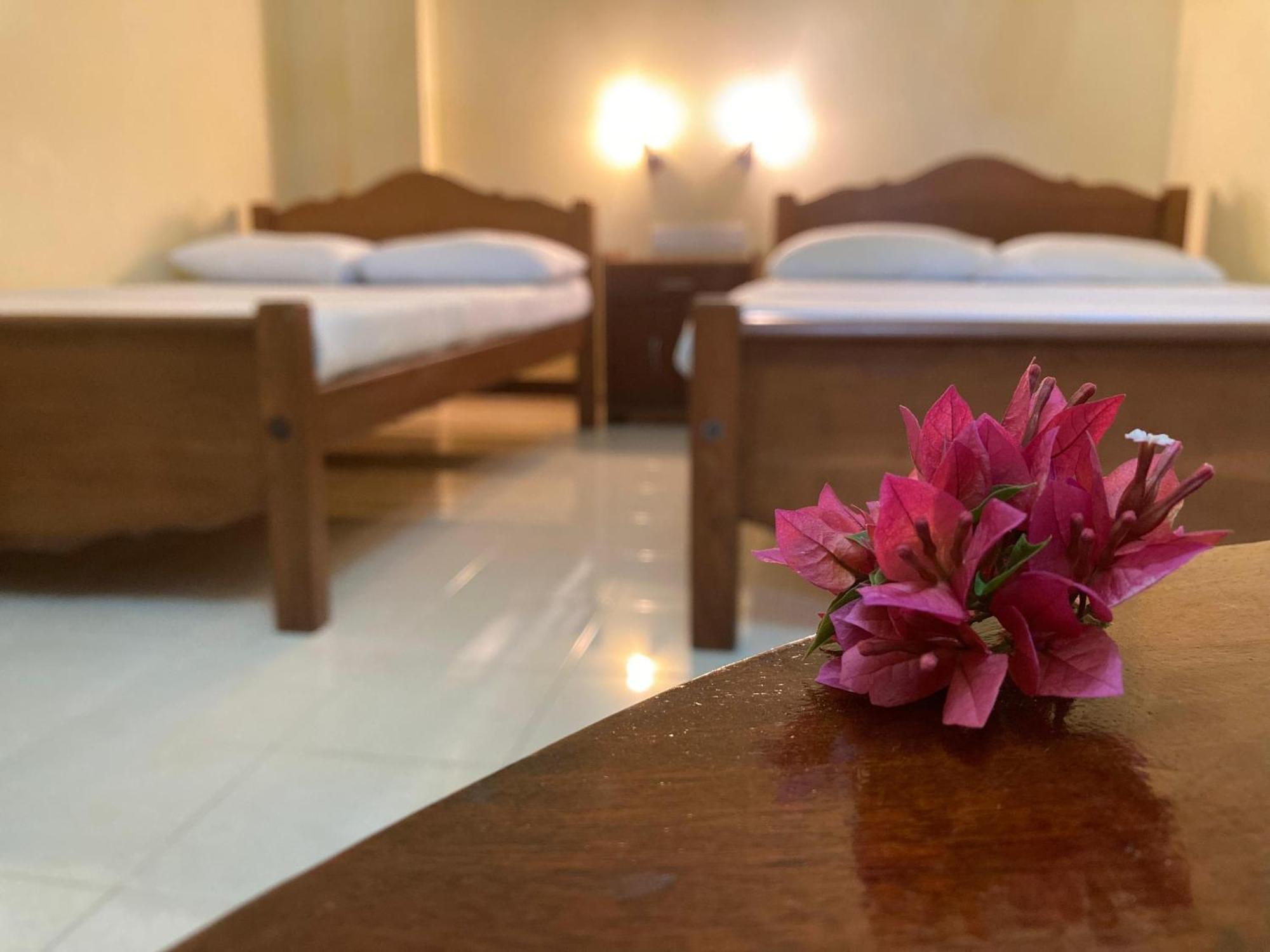 Rainforest Lodge, Deniyaya Singheraja Zewnętrze zdjęcie