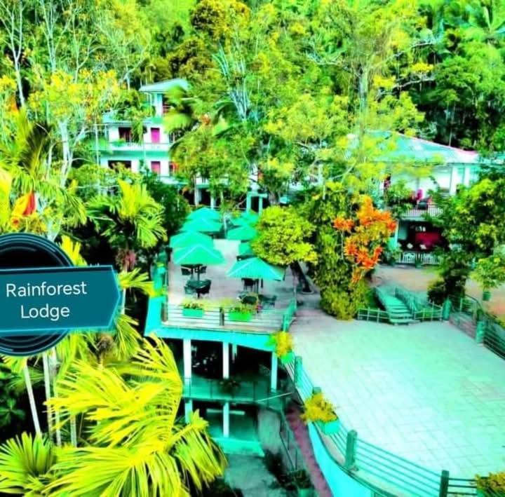 Rainforest Lodge, Deniyaya Singheraja Zewnętrze zdjęcie